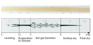 Orologio marcatempo di secchezza per tempo d'essiccamento della prova o comportamento del gel delle pitture e delle mani