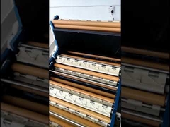 Sviluppatore di pellicole